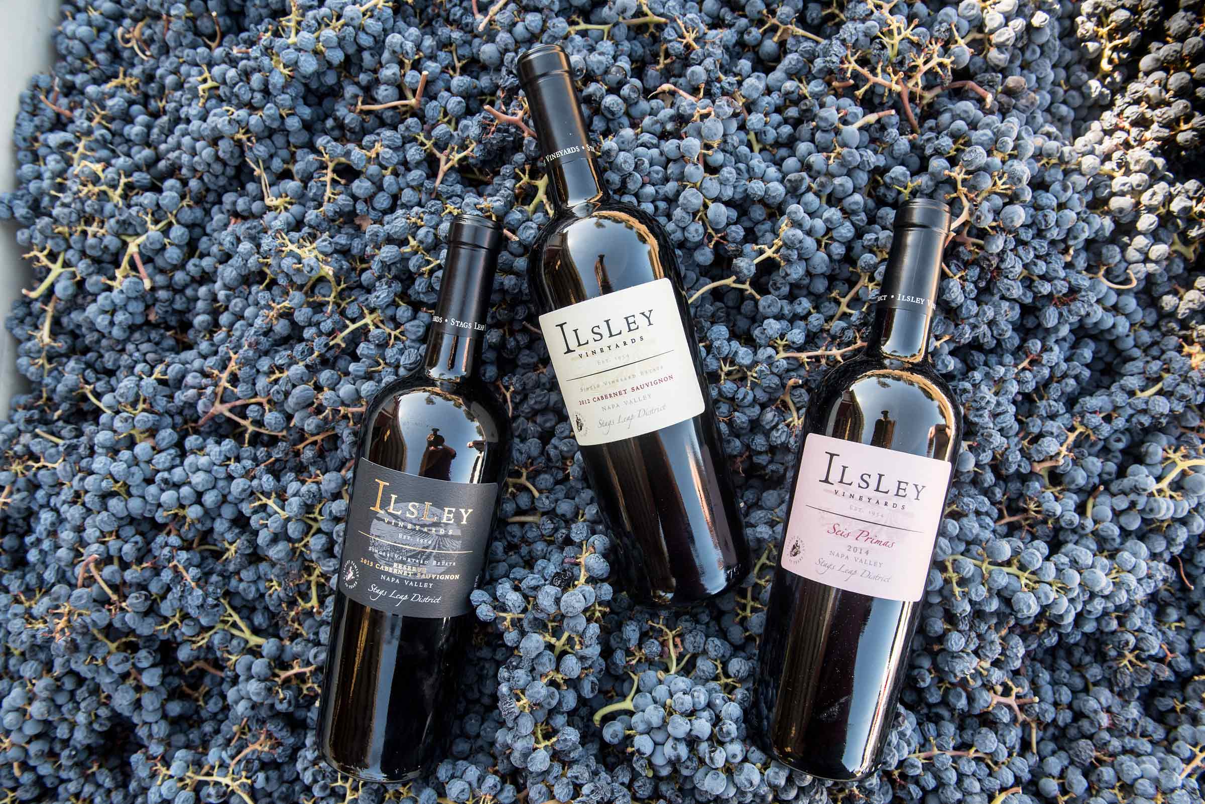 three bottles of Ilsley wine laying on a bin of freshly harvested red grapes